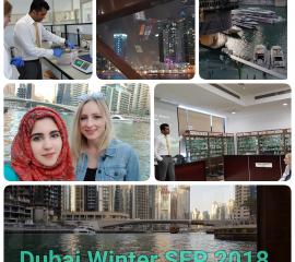 Pharmacology Research Activities and Dubai Marina yacht trip