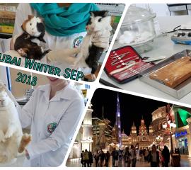 Pharmacology Research and Global Village  Trip