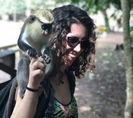 A visit to the Tafi Atome Monkey Sanctuary