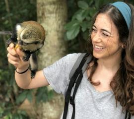 The Tafi Atome Monkey Sanctuary