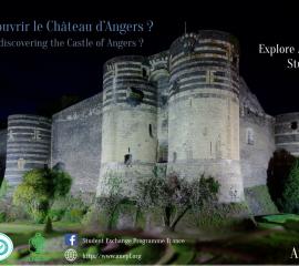 ANGERS - Feeling like discovering the Castle of Angers?