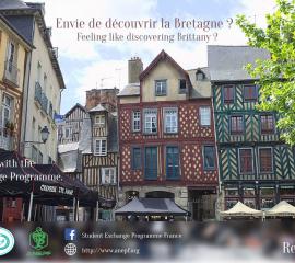 RENNES - Feeling like discovering Brittany? 
