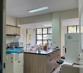 Lab Activity