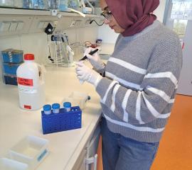 Reasearch placement Heidelberg