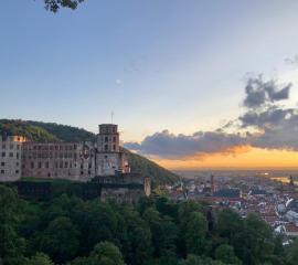 View on the Castel of the City of Heidelberg